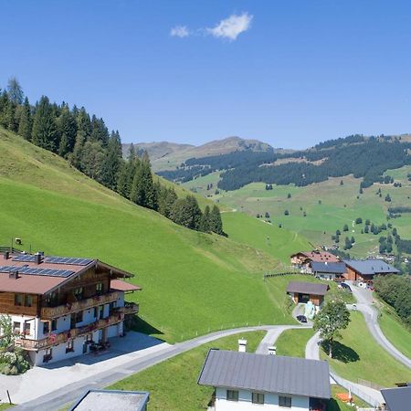 Landhaus Hinterglemm Διαμέρισμα Σάαλμπαχ-Χίντεργκλεμ Εξωτερικό φωτογραφία